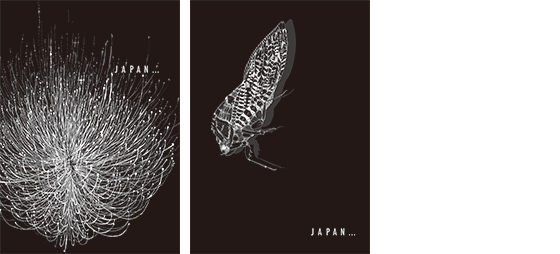 椿 美沙（多摩美術大学）JAPAN…_ハナビ／JAPAN…_セミ